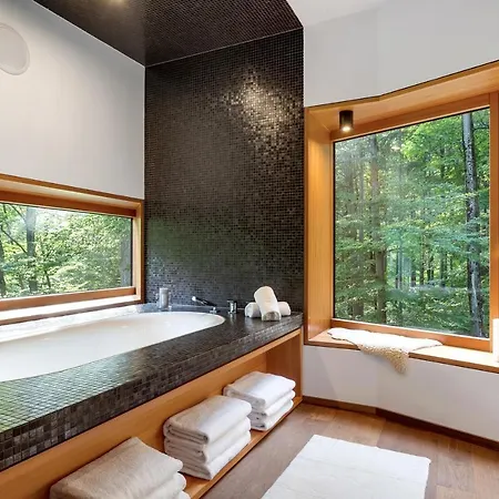 Jasna Mansion Apartment *